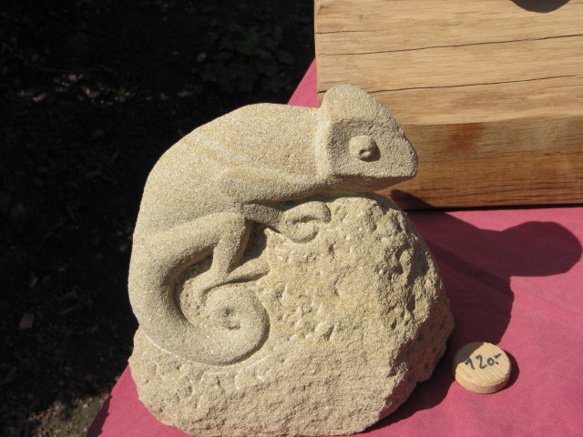 Chamaeleon.JPG