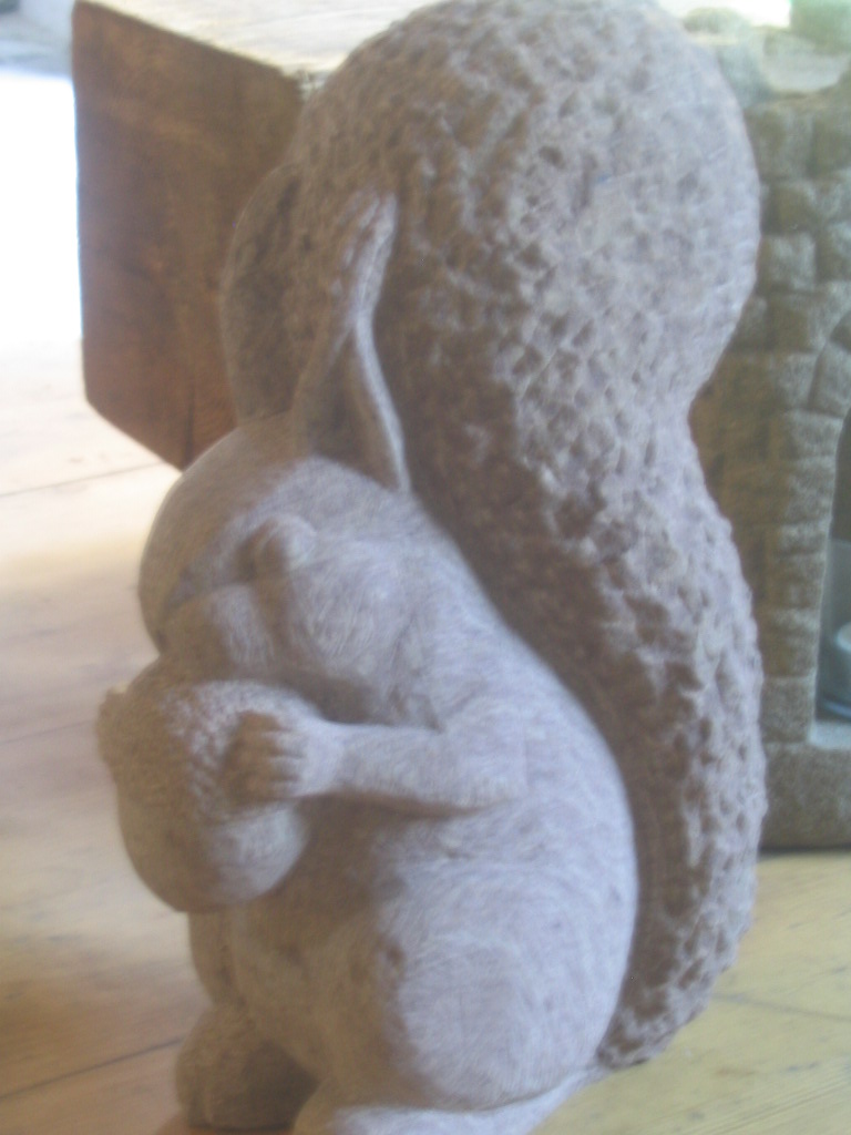 Eichhoernchen.Brigitte.Eimer2013.JPG