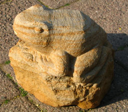 Frosch2.5-06.jpg