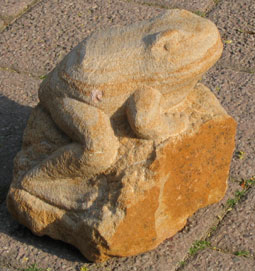 Frosch5-06.jpg