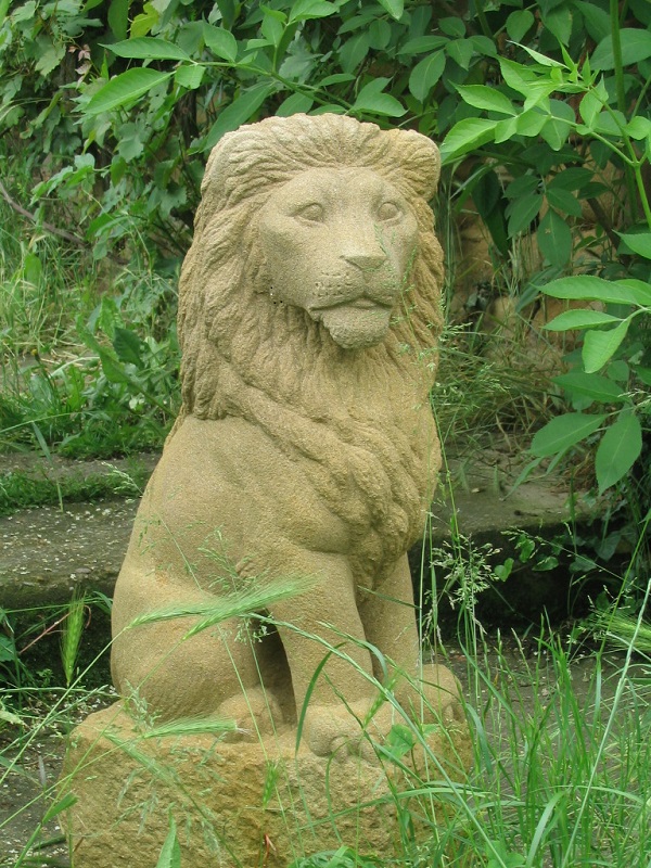 Lion.jpg