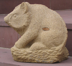 Wildsau1.jpg